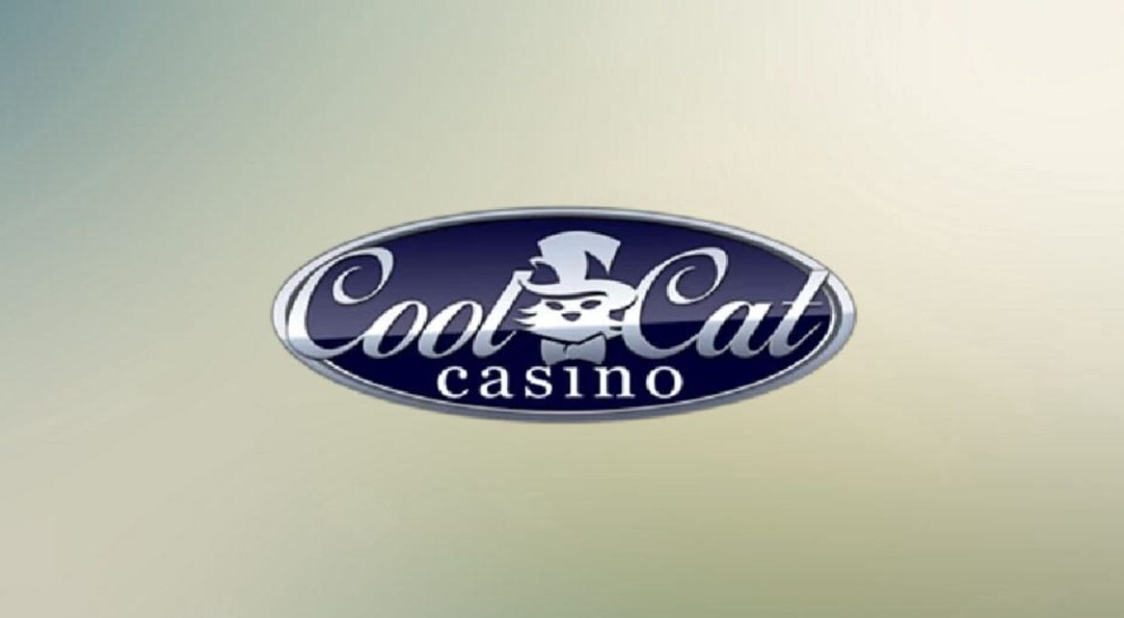 Узнайте, как начать cat casino